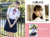 [PRESTIGE Books] Remu Suzumori & 11 others - PRESTIGE PUBLISHING HISTORY COLLECTION Vol.04