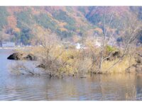 [Photobook] 冨永ほのか 逢瀬、重ねて。PRESTIGE PHOTOGENICS