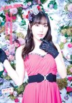 [Young Magazine] 週刊ヤングマガジン 2023.12.11 No.52 譜久村聖 牧野真莉愛 佐々木ほのか 岡村ほまれ 櫻井梨央