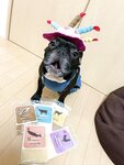 [Twitter] いくみ – (193iKkyu3) (10.11.2022) [2476P116V-1.04GB]