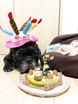[Twitter] いくみ – (193iKkyu3) (10.11.2022) [2476P116V-1.04GB]