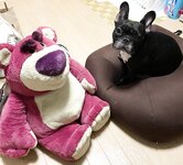 [Twitter] いくみ – (193iKkyu3) (10.11.2022) [2476P116V-1.04GB]
