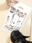 [Twitter] いくみ – (193iKkyu3) (10.11.2022) [2476P116V-1.04GB]