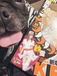 [Twitter] いくみ – (193iKkyu3) (10.11.2022) [2476P116V-1.04GB]