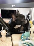 [Twitter] いくみ – (193iKkyu3) (10.11.2022) [2476P116V-1.04GB]