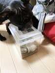 [Twitter] いくみ – (193iKkyu3) (10.11.2022) [2476P116V-1.04GB]