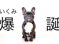 [Twitter] いくみ – (193iKkyu3) (10.11.2022) [2476P116V-1.04GB]