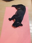 [Twitter] いくみ – (193iKkyu3) (10.11.2022) [2476P116V-1.04GB]