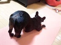 [Twitter] いくみ – (193iKkyu3) (10.11.2022) [2476P116V-1.04GB]