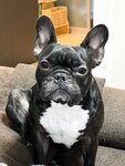 [Twitter] いくみ – (193iKkyu3) (10.11.2022) [2476P116V-1.04GB]