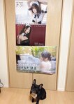 [Twitter] いくみ – (193iKkyu3) (10.11.2022) [2476P116V-1.04GB]
