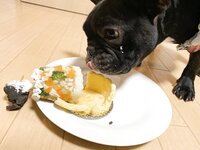 [Twitter] いくみ – (193iKkyu3) (10.11.2022) [2476P116V-1.04GB]