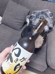 [Twitter] いくみ – (193iKkyu3) (10.11.2022) [2476P116V-1.04GB]