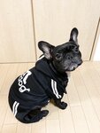 [Twitter] いくみ – (193iKkyu3) (10.11.2022) [2476P116V-1.04GB]