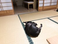 [Twitter] いくみ – (193iKkyu3) (10.11.2022) [2476P116V-1.04GB]
