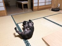 [Twitter] いくみ – (193iKkyu3) (10.11.2022) [2476P116V-1.04GB]