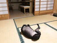 [Twitter] いくみ – (193iKkyu3) (10.11.2022) [2476P116V-1.04GB]