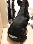 [Twitter] いくみ – (193iKkyu3) (10.11.2022) [2476P116V-1.04GB]