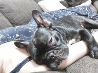 [Twitter] いくみ – (193iKkyu3) (10.11.2022) [2476P116V-1.04GB]