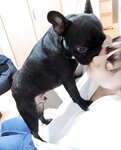 [Twitter] いくみ – (193iKkyu3) (10.11.2022) [2476P116V-1.04GB]