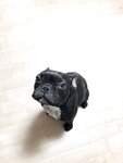 [Twitter] いくみ – (193iKkyu3) (10.11.2022) [2476P116V-1.04GB]