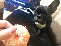 [Twitter] いくみ – (193iKkyu3) (10.11.2022) [2476P116V-1.04GB]