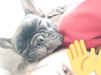 [Twitter] いくみ – (193iKkyu3) (10.11.2022) [2476P116V-1.04GB]