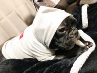 [Twitter] いくみ – (193iKkyu3) (10.11.2022) [2476P116V-1.04GB]