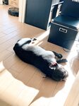 [Twitter] いくみ – (193iKkyu3) (10.11.2022) [2476P116V-1.04GB]