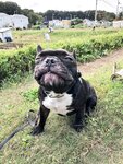 [Twitter] いくみ – (193iKkyu3) (10.11.2022) [2476P116V-1.04GB]