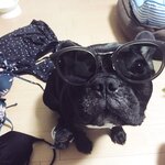 [Twitter] いくみ – (193iKkyu3) (10.11.2022) [2476P116V-1.04GB]