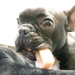 [Twitter] いくみ – (193iKkyu3) (10.11.2022) [2476P116V-1.04GB]