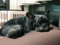[Twitter] いくみ – (193iKkyu3) (10.11.2022) [2476P116V-1.04GB]