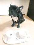 [Twitter] いくみ – (193iKkyu3) (10.11.2022) [2476P116V-1.04GB]