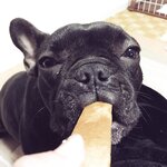 [Twitter] いくみ – (193iKkyu3) (10.11.2022) [2476P116V-1.04GB]