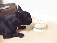 [Twitter] いくみ – (193iKkyu3) (10.11.2022) [2476P116V-1.04GB]