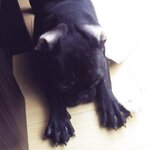 [Twitter] いくみ – (193iKkyu3) (10.11.2022) [2476P116V-1.04GB]