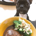 [Twitter] いくみ – (193iKkyu3) (10.11.2022) [2476P116V-1.04GB]