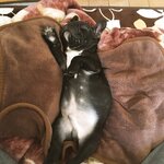 [Twitter] いくみ – (193iKkyu3) (10.11.2022) [2476P116V-1.04GB]