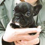 [Twitter] いくみ – (193iKkyu3) (10.11.2022) [2476P116V-1.04GB]