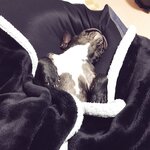[Twitter] いくみ – (193iKkyu3) (10.11.2022) [2476P116V-1.04GB]