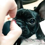 [Twitter] いくみ – (193iKkyu3) (10.11.2022) [2476P116V-1.04GB]