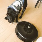 [Twitter] いくみ – (193iKkyu3) (10.11.2022) [2476P116V-1.04GB]