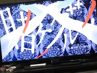 [Twitter] いくみ – (193iKkyu3) (10.11.2022) [2476P116V-1.04GB]