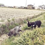 [Twitter] いくみ – (193iKkyu3) (10.11.2022) [2476P116V-1.04GB]