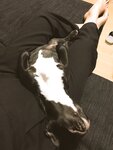 [Twitter] いくみ – (193iKkyu3) (10.11.2022) [2476P116V-1.04GB]