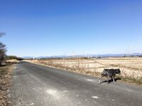 [Twitter] いくみ – (193iKkyu3) (10.11.2022) [2476P116V-1.04GB]