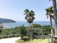 [Twitter] いくみ – (193iKkyu3) (10.11.2022) [2476P116V-1.04GB]