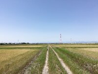 [Twitter] いくみ – (193iKkyu3) (10.11.2022) [2476P116V-1.04GB]