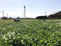 [Twitter] いくみ – (193iKkyu3) (10.11.2022) [2476P116V-1.04GB]
